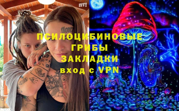 стафф Михайлов