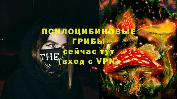 стафф Михайлов